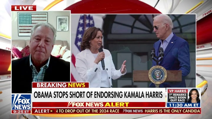 Robert Wolf dismisses concerns after Obama failed to endorse Kamala Harris: 